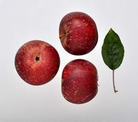Ingrid Marie æbler